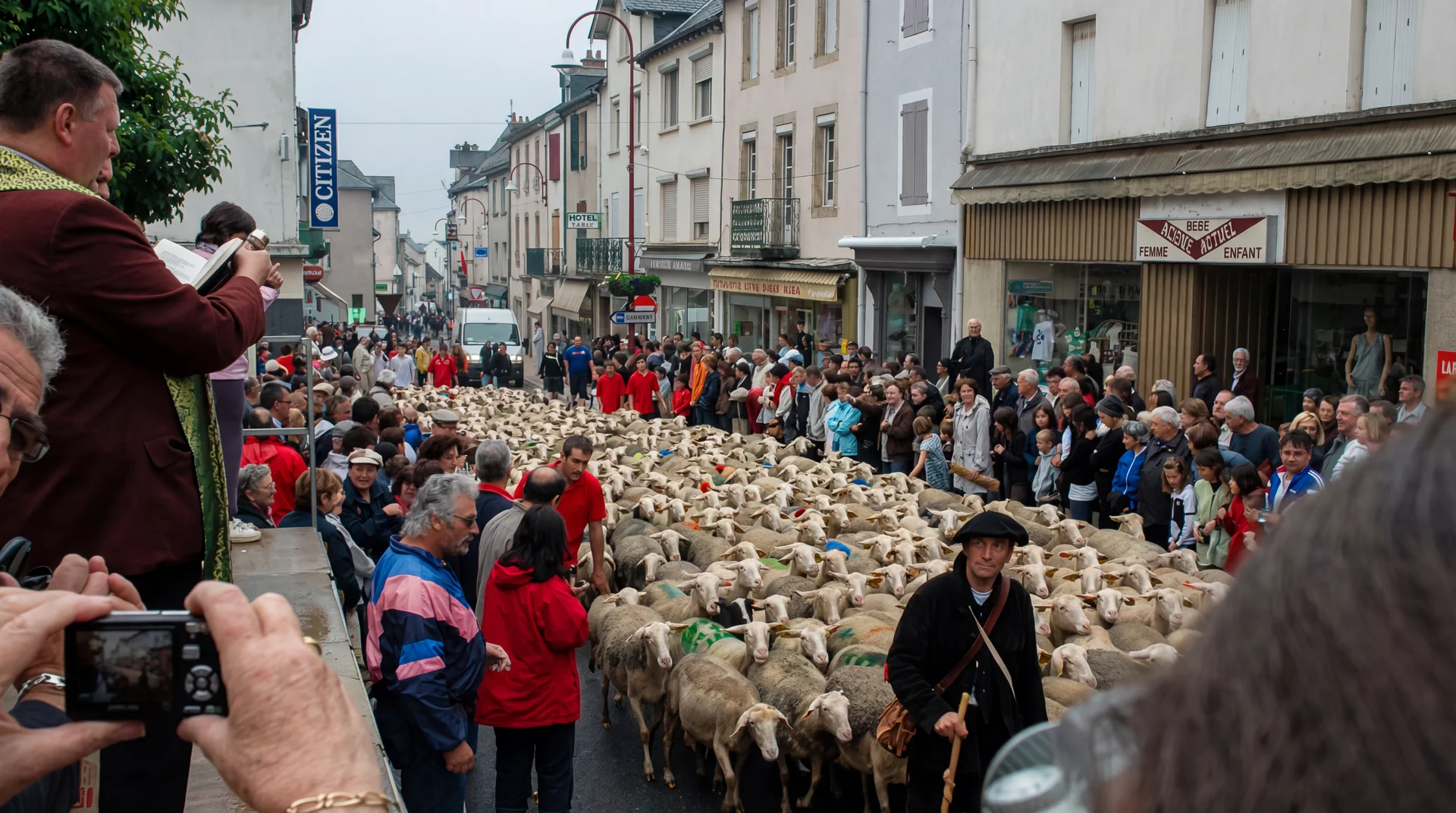 Fête de la Brebis à Réquista